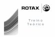 Diferenças entre um motor Rotax 125 MAX versus 125cc
