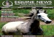 EQUINE NEWS AND TRADE SERVICES DIRECTORY  Volume 4  Issue 1  AUTUMN 2012