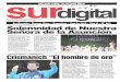 Diario Sur digital