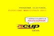 Programa Electoral CUP Seva