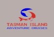 Tasman Island Adventure Cruises
