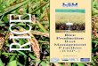Rice Production Best Management Practices (BMPs)