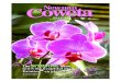Newnan-Coweta Magazine March/April 2009