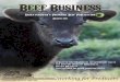 Beef Business March 2011