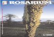 Rosarium 2002-02