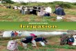 Prof. Kaloki Initiative: Agriculture & Irrigation
