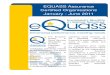 EQUASS Assurance Jan-June 2011