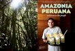 Amazonía Peruana - welcome to the jungle