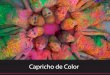 Caprichos de color