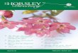 THE HORSLEY DIRECTORY - FEB/MARCH EDITION