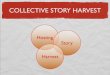 Collective Story Harvest Slides