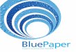 2010 Blue Paper