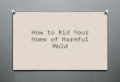 How to rid your home of harmful mold