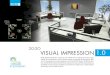 20-20 Visual Impression Brochure (PDF)