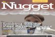 June / July 2013 Nugget