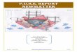 Pure Report newsletter issue 4 june 2011