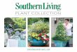 Southern living plant collection brochure 2014