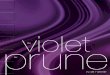 6. du violet au prune..., la couleur de la spiritualité