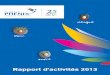 Fondation Phénix: Rapport d'activités 2013