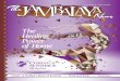 The Jambalaya News, Vol. 6, No. 8 - 07/17/14