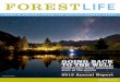 Forest Life Spring 2014