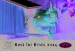 Best for birds catalogue 2014