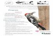 Woodpeckers in a changing world_Program