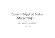 General myeloid series morphology ii