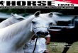Horse times 03