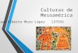 Reportaje acerca de las culturas mesoamericanas