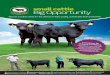 Wessex Lowlines - small cattle big opportunity