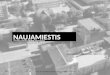 Naujamiestis: Vilniaus miesto centro koncepcija