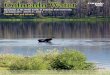 Colorado Water Volume 31 Issue 4: Fish and Wildlife