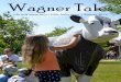 Wagner Tales Summer 2014