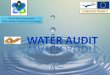 Water Audit- Spain- (Spain meeting 2013)
