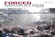 FMR 47 The Syria crisis, displacement and protection