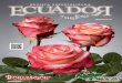 Ecuador y sus Flores, Revista 44
