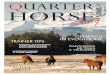 Quarter horse magazine italy 52
