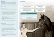 Peel star gateway equine marketing 3 fold brochure