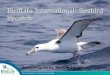 Spain introduction: BirdLife International: Seabird bycatch