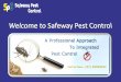Know About the Safest Way to Make a Pest-free Environment