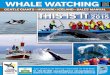 Gentle Giants Whale Watching Husavik Iceland sales manual 2015