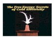 Peter A. Lindemann - The Free Energy Secrets of Cold Electricity