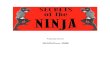 Secrets of the Ninja (Kim Ashida)