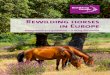 Rewilding Horses in Europe