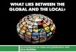 What lies between the local and the global t12014i