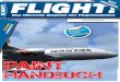 Flight! Magazin - Flight! Painthandbuch