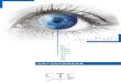 CTC corporate brochure in Chinese