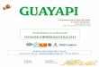 Guayapi italia presentazione prodotti v01 (1)