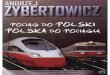 Zybertowicz a pociąg do polski, polska do pociągu